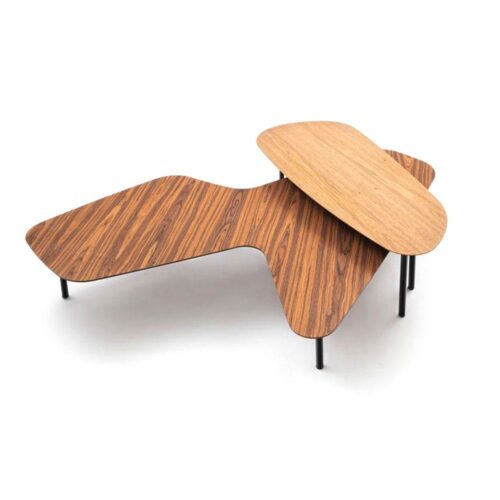 Mesa Z